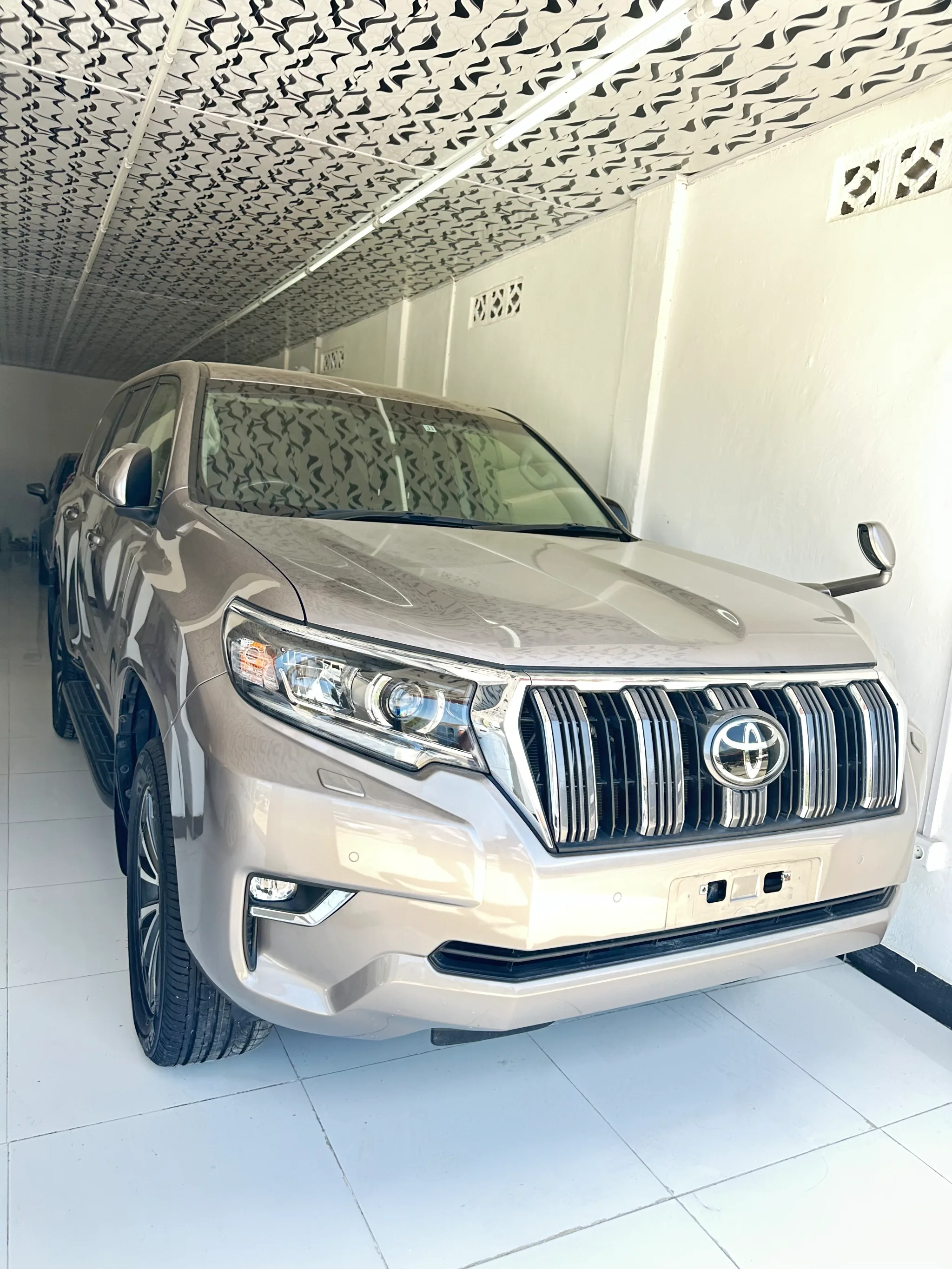 Land Crusier Prado