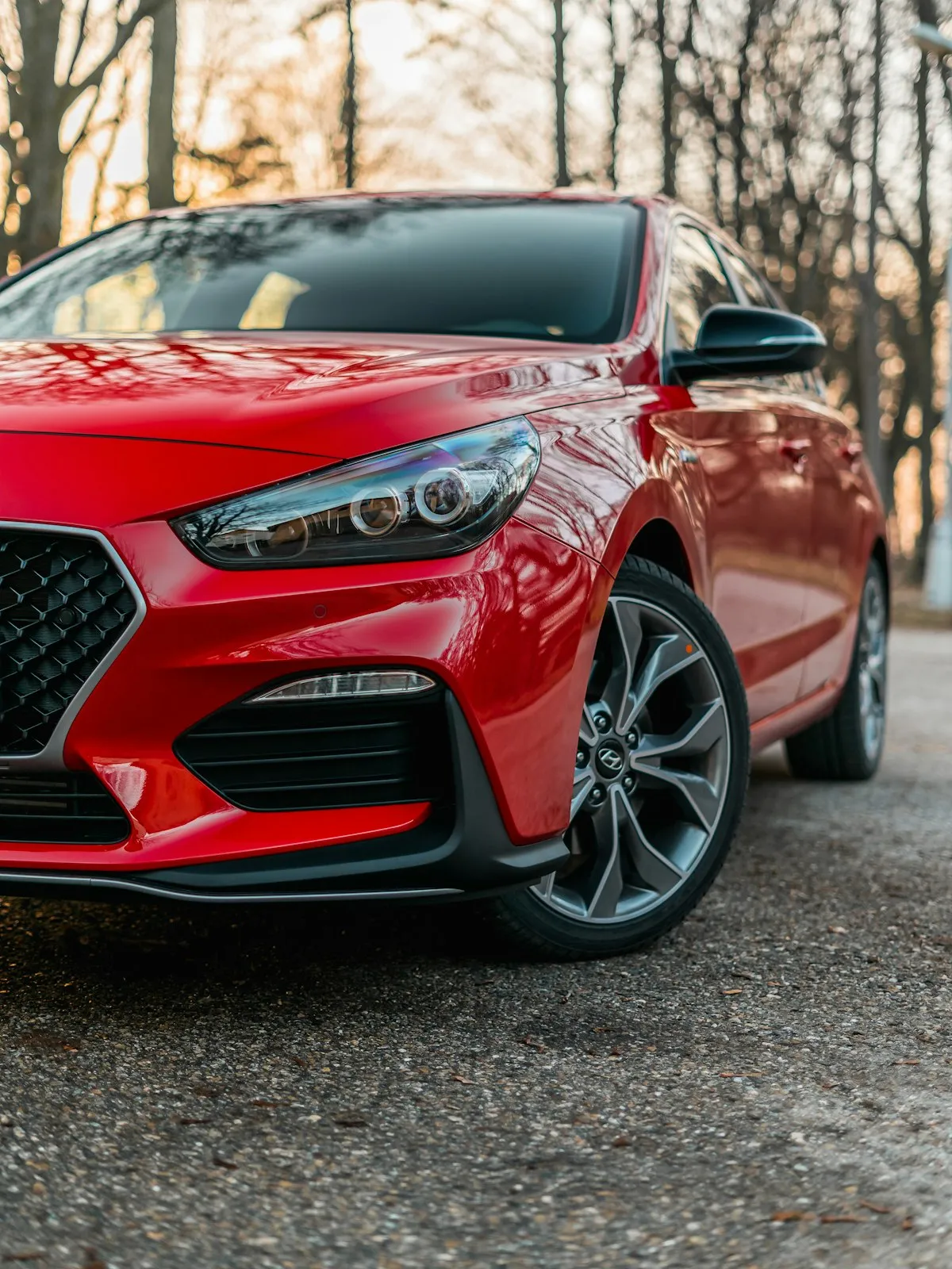 Car rental fleet